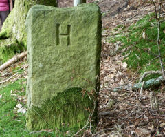 
Boundary stone H (Hanbury) near Hollybush Cottage, Cwmcarn, July 2011
